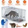 25.59Inch Live Humane Animal Trap Cage Heavy Duty Folding Catch And Release Rodent Cage For Rabbit Squirrel Possum Skunk Kitten Raccoon And More