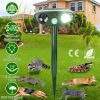 Solar Ultrasonic Animal Repeller PIR Sensor Animal Repellent Chaser with Flashing Light IPX4 Waterproof for Chasing Deer Raccoon Squirrel Rat Skunk Ra