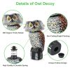 Lifelike Owl Decoy with 360 Degree Rotatable Head Scare Bird Squirrel Away Pest Repellent Bird Deterrent Outdoor Garden Yard Protector