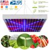 LED Grow Light Full Spectrum Hanging 225 LEDs Plant Grow Lamp Indoor Grow Light for Greenhouse Succulents Seedlings Plants Veg and Flower?15W LEDs?
