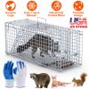 25.59Inch Live Humane Animal Trap Cage Heavy Duty Folding Catch And Release Rodent Cage For Rabbit Squirrel Possum Skunk Kitten Raccoon And More