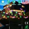 2Pcs Outdoor Solar Light Cherry Blossom Flower Landscape Light Yard Stake Decor Lamp