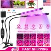 LED Grow Light Dual Head 18W 36 Red Blue LEDs Plant Grow Lamp Timer Function 360djustable Gooseneck 10 Dimmable Levels