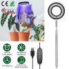 Plant Grow Light LED Full Spectrum Circle Growing Lamp with 3/9/12Hours Auto Timer Setting 9 Dimmable Brightness Height Adjustable for Indoor Plants