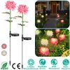 2 Packs Solar LED Chrysanthemum Lights Solar Powered Garden Flower Stake Lamp Waterproof Landscape Decorative Light for Garden Patio Yard